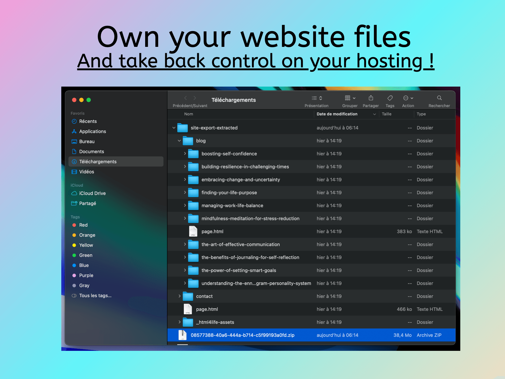 NocodeXport screenshot 3